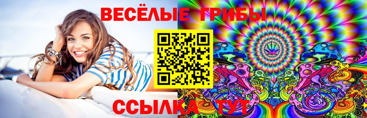 Качканар  Галлюциногенные грибы ЛСД  Вход с VPN 